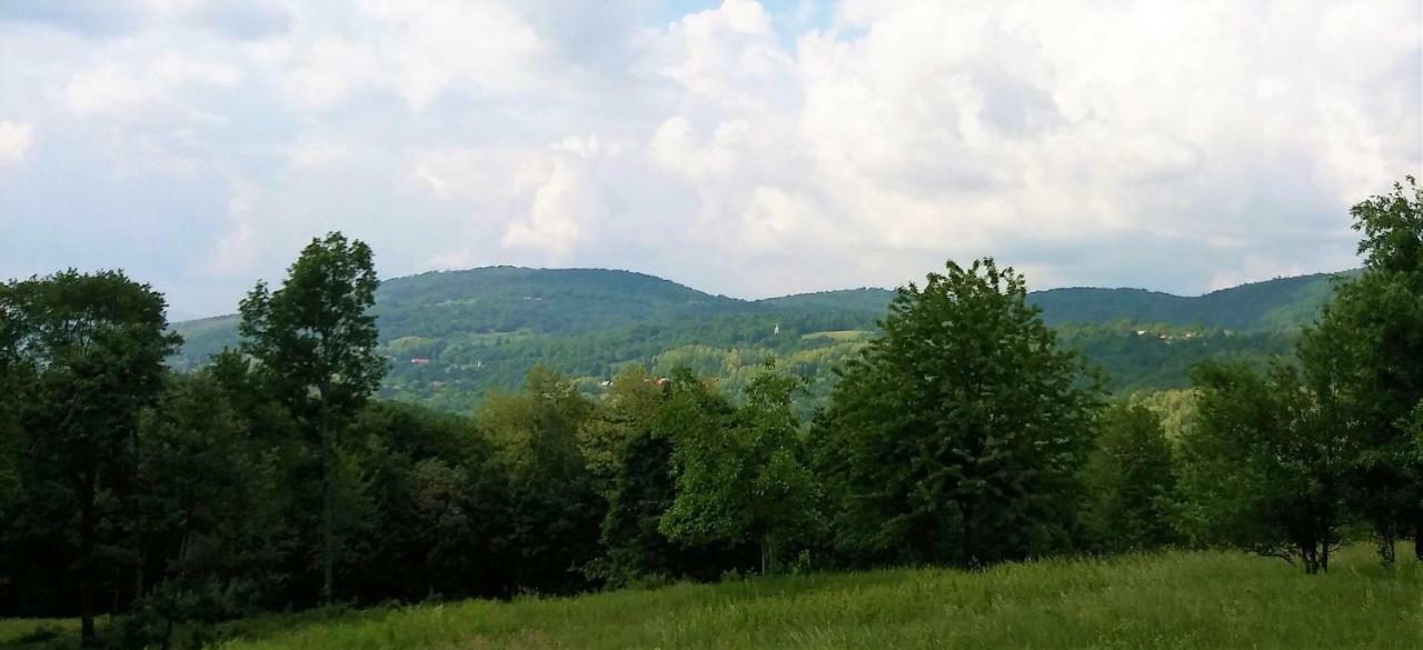 Vacation House Spiritus Flumine Netretic Екстер'єр фото
